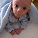 kuk kamaradum na PP :-)