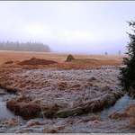 podzim odchází , zima přichází ?