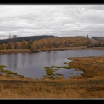 Volárenský rybník