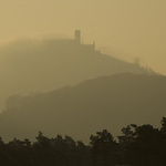 Bezděz v ranní mlze