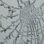 Pavučina a mlha