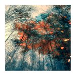 podzimní symfonie II.