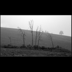 Šest strážců ticha