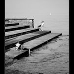 příběhy jednoho jezera