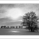 ... zimní odpoledne ...