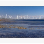 Wattle Point Wind Farm