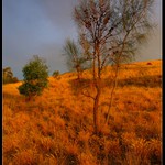 Večer před bouřkou