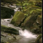 ** Kdysi na jednom potoce **