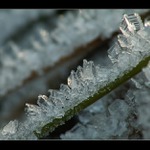  ** Jemná krása vody**