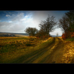 ...z toulek po Čechách...