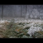 Keď sa zima ohlási