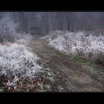 Keď sa zima ohlási  II.