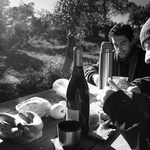Pique-Nique en Provence