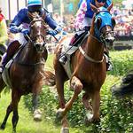 ...kopyta koní...II.