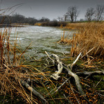 Podzimní smutky II.