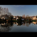 Janov
