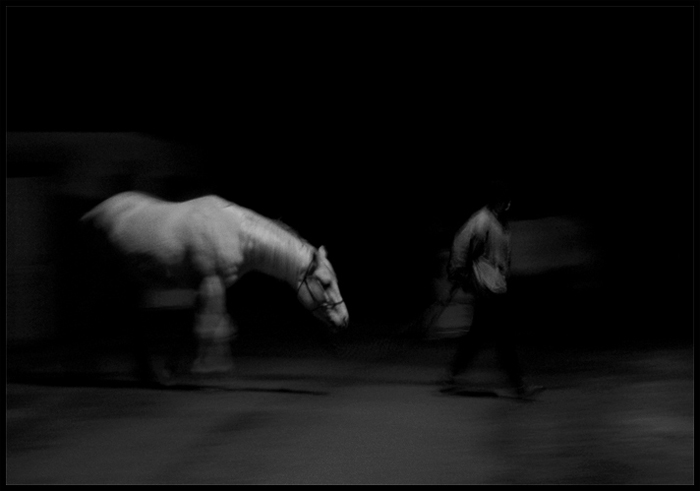 Ghosts II.