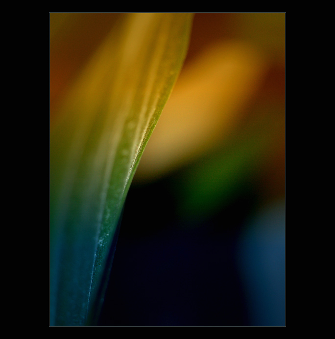 - / II. -