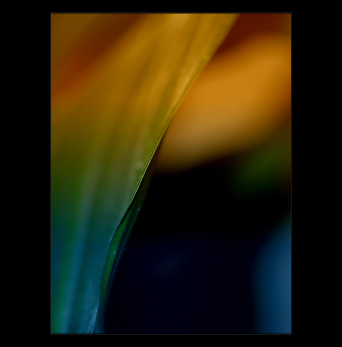 - / IV. -