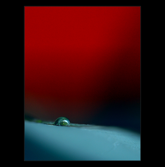  - silence -