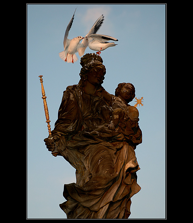 Moment z Karlova mostu