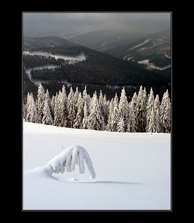 Krkonoše 2