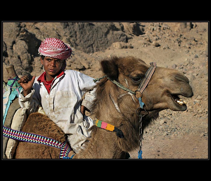 Malý beduin a jeho zviřátko