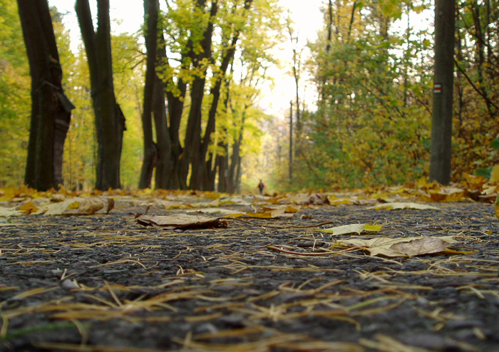 Má láska odchází po červené