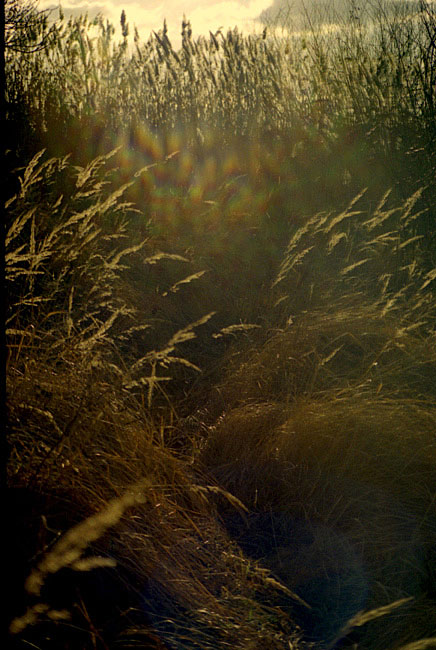 Energie II.