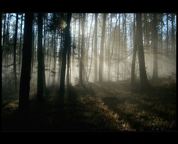 mlha stokrát jinak 007