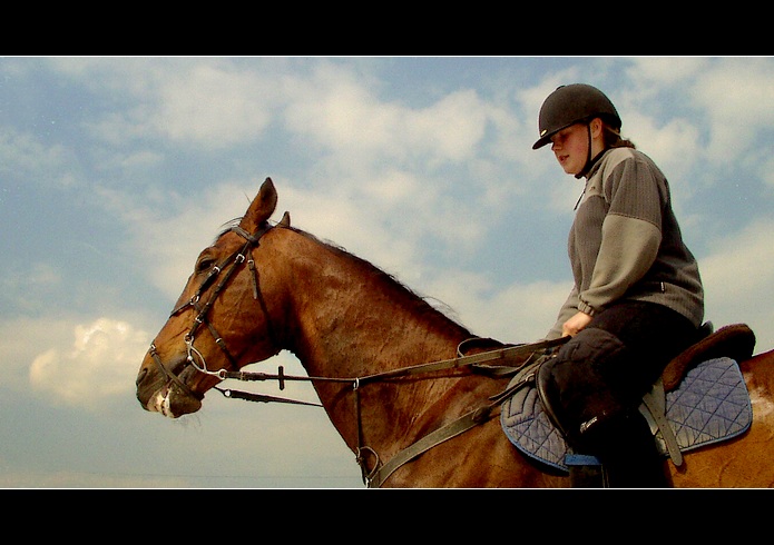kupodivu kůň a kupodivu s jezdcem