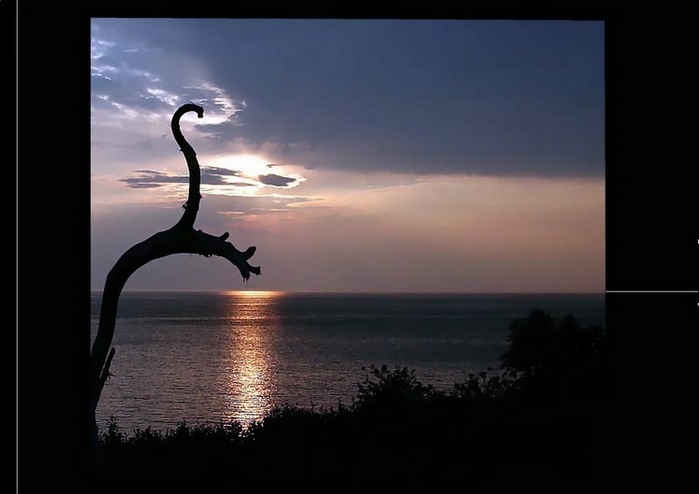 Gaspesie