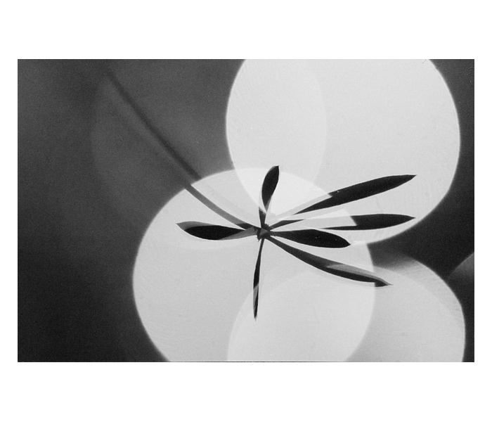 kytiškááá