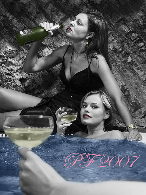 PF 2007