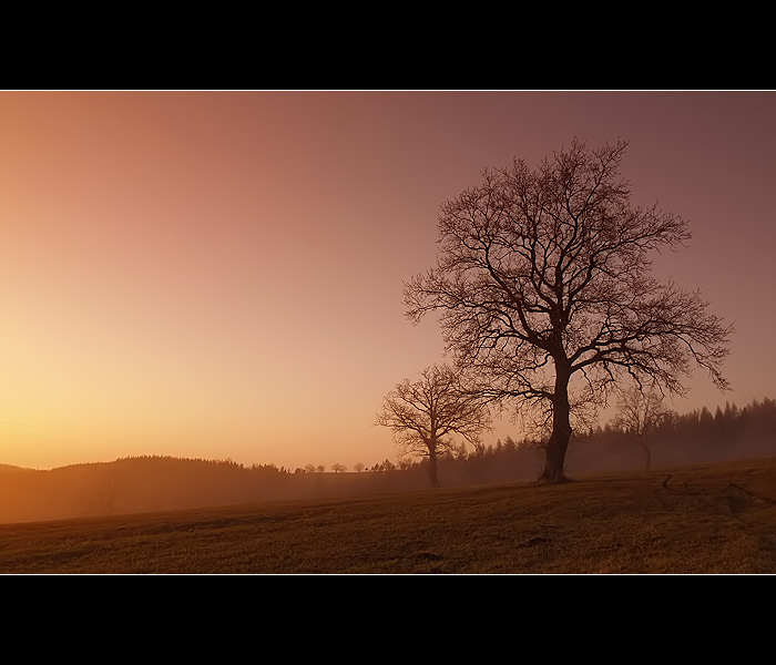 ...hlídači louky...