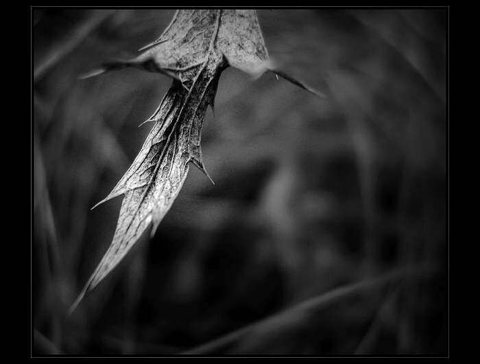 Silent