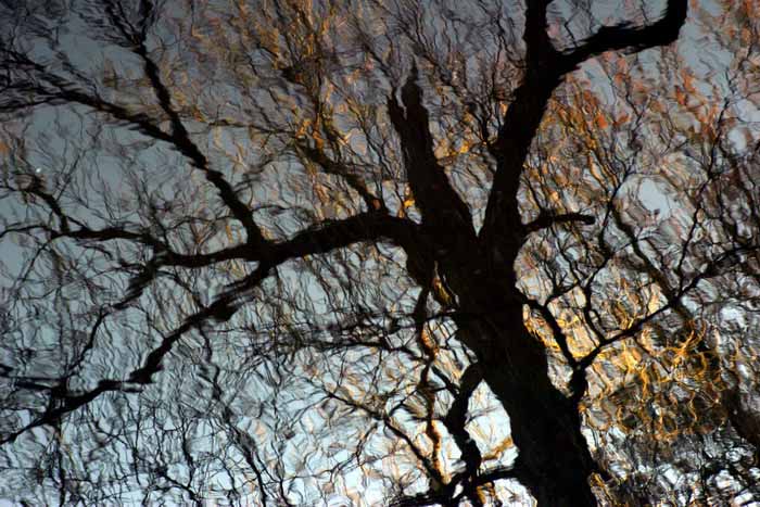 Plamenné  blues o tvých vlasech