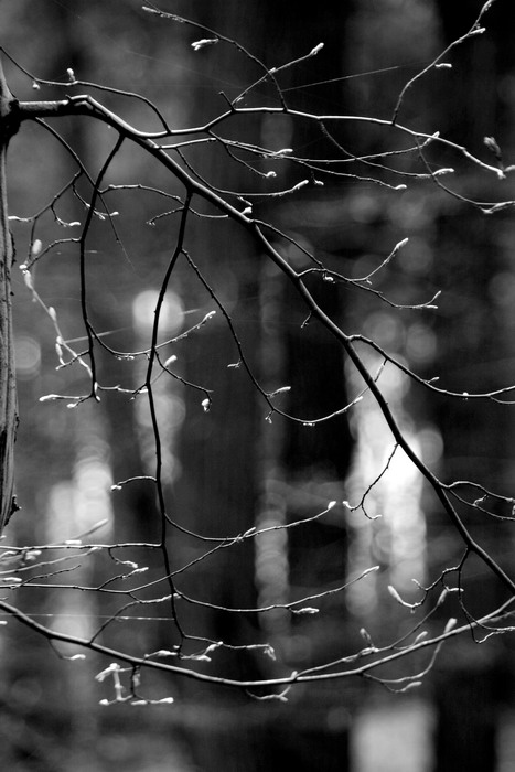 100% (z)jištěný provazochodec