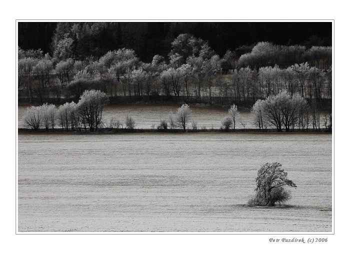 Mrazivé pohledy I