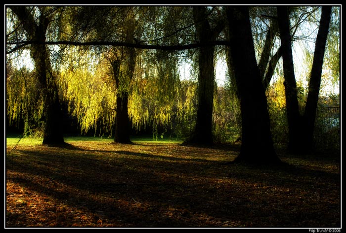 podzimní procházka