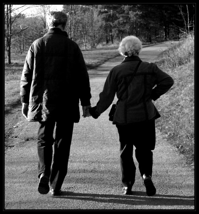 já povedu Tě cestou, necestou...