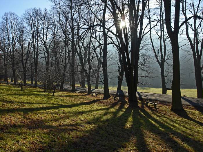 paprsčení