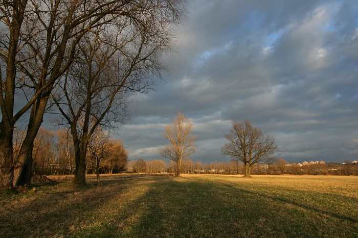 světlem malovaná