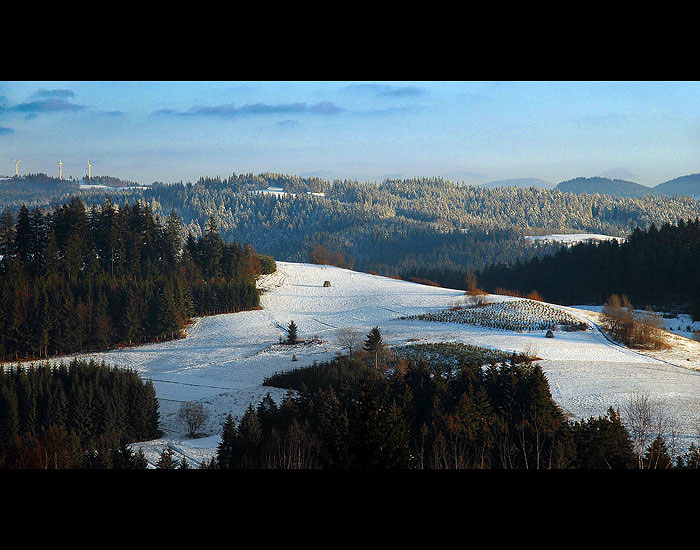 Hrčava