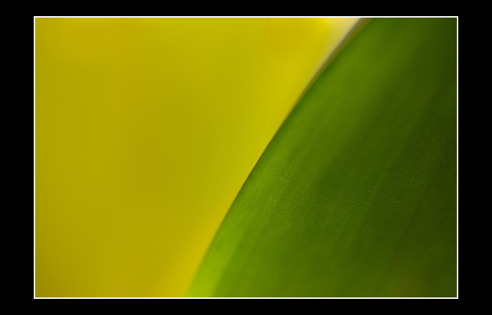 Minimalismus