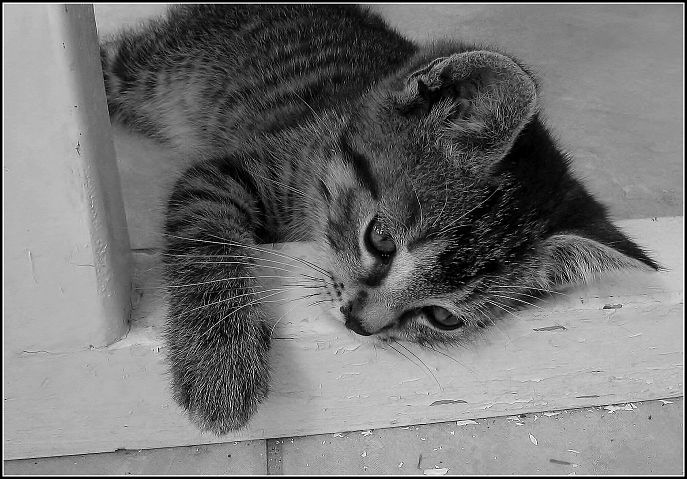 Po náročném dni, chvíle klidu..