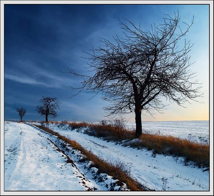 ...linie...