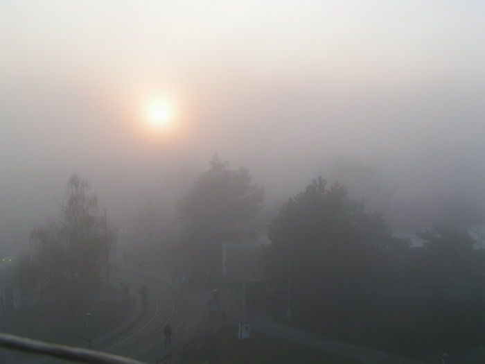 Pohľad do šedivého rána . ..