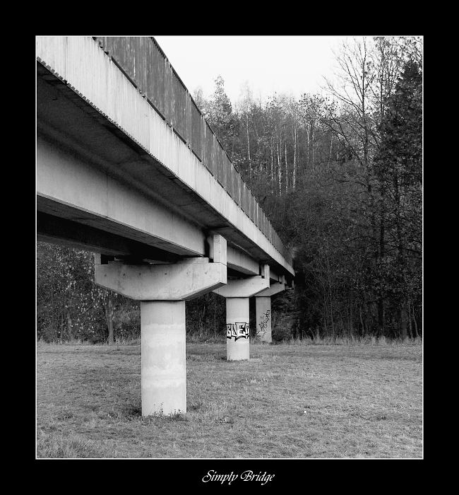 ...Simply Bridge...