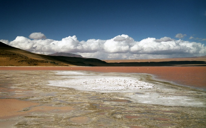 Laguna Colorada